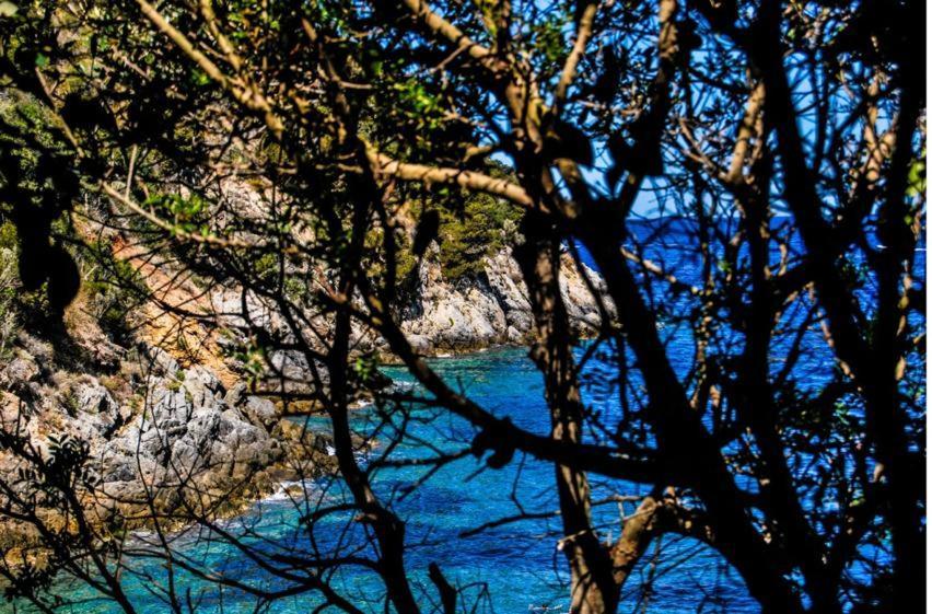 Appartamento Indipendente Vista Unica Manciano Εξωτερικό φωτογραφία